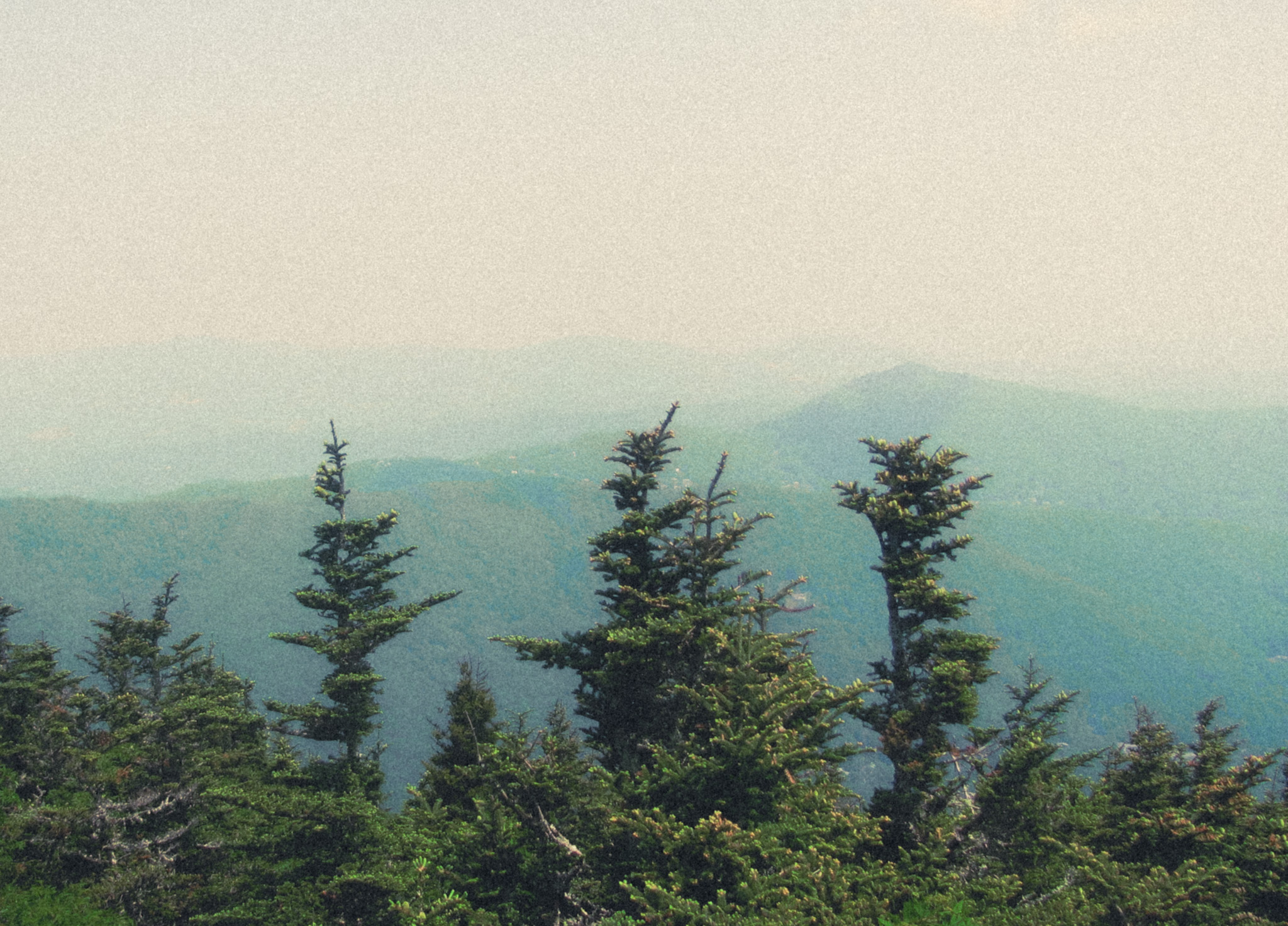 Landscape photograph